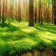 世界举重公开赛裁判评分回放制度年度优化方案公布，2020年举重世界