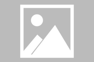 世界举重康复在线课堂新增康复评估工具使用教程，世界举重比赛
